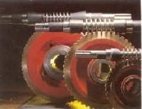 Worm Gears